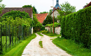 Vidange fosse septique Nogent-sur-Marne